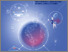 [thumbnail of Revista-Integracion--Comercio-Ano-25-No.-47-Diciembre-2021-Comercio-e-integracion-en-el-mundo-post-COVID-19-Oportunidades-y-desafios-para-America-Latina-y-el-Caribe.pdf]