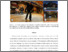 [thumbnail of ISMAR_24_PassthroughExergames_V02_BCU.pdf]
