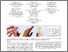 [thumbnail of 3706598.3713466.pdf]